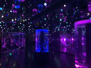 マクセル アクアパーク品川に投稿された画像（2021/8/10）