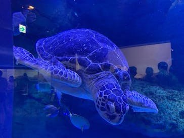 マクセル アクアパーク品川に投稿された画像（2021/8/10）