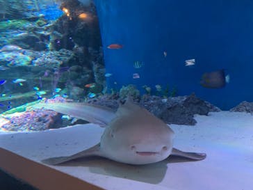 マクセル アクアパーク品川に投稿された画像（2021/8/10）