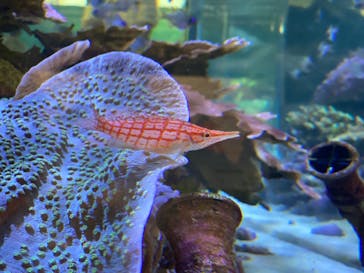 名古屋港水族館に投稿された画像（2021/8/10）