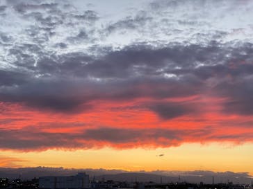 名古屋港水族館に投稿された画像（2021/8/10）