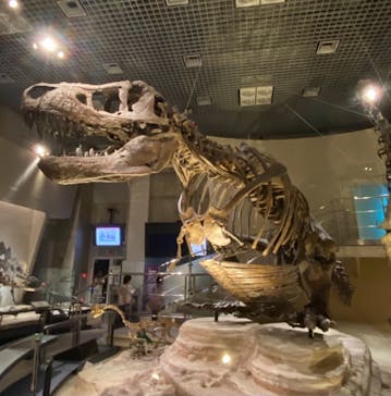 国立科学博物館に投稿された画像（2021/8/10）