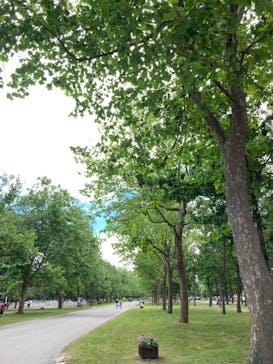 ノーザンホースパークに投稿された画像（2021/8/10）