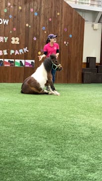 ノーザンホースパークに投稿された画像（2021/8/10）