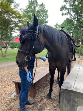 ノーザンホースパークに投稿された画像（2021/8/10）