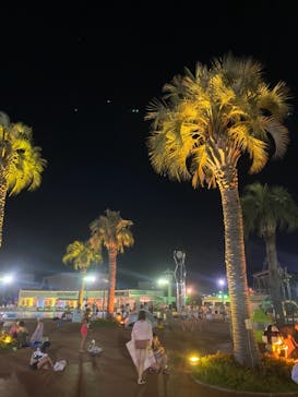 よみうりランド 遊園地に投稿された画像（2021/8/10）