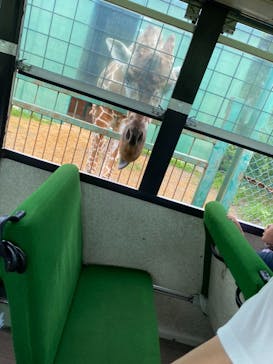 岩手サファリパークに投稿された画像（2021/8/10）