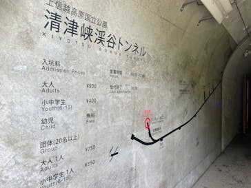 清津峡渓谷トンネルに投稿された画像（2021/8/10）