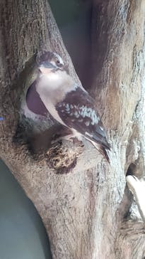 カワスイ 川崎⽔族館に投稿された画像（2021/8/10）