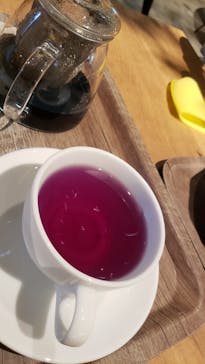 カワスイ 川崎⽔族館に投稿された画像（2021/8/10）