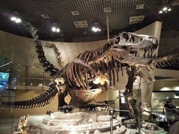 国立科学博物館に投稿された画像（2021/8/10）