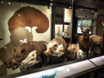 国立科学博物館に投稿された画像（2021/8/10）