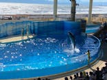 新江ノ島水族館に投稿された画像（2021/8/10）