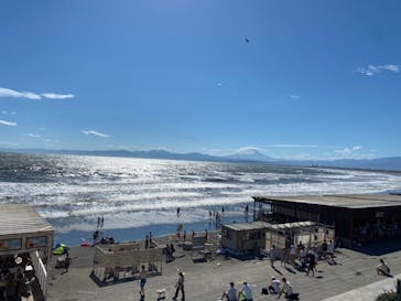 新江ノ島水族館に投稿された画像（2021/8/10）