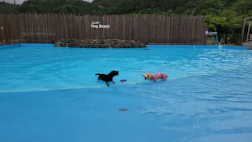 わんダフルネイチャーヴィレッジに投稿された画像（2021/8/10）