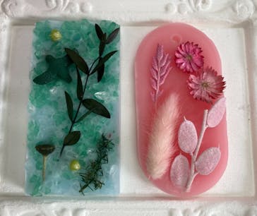 ずこうしつ〜sugamo〜に投稿された画像（2021/8/10）