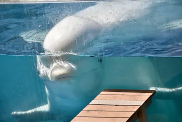 横浜・八景島シーパラダイスに投稿された画像（2021/8/10）