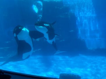 名古屋港水族館に投稿された画像（2021/8/10）