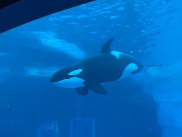名古屋港水族館に投稿された画像（2021/8/10）