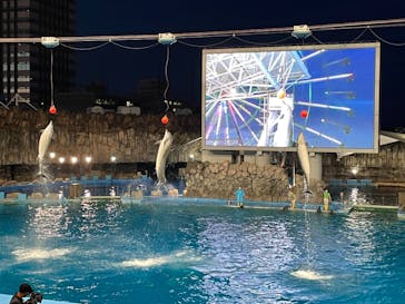 名古屋港水族館に投稿された画像（2021/8/10）