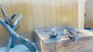 横浜・八景島シーパラダイスに投稿された画像（2021/8/10）