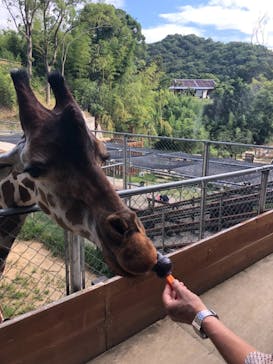 しろとり動物園に投稿された画像（2021/8/10）