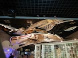 国立科学博物館に投稿された画像（2021/8/11）
