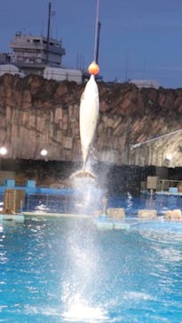 名古屋港水族館に投稿された画像（2021/8/10）