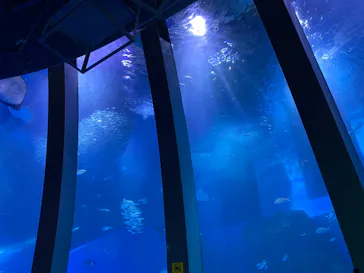 横浜・八景島シーパラダイスに投稿された画像（2021/8/10）