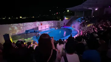 仙台うみの杜水族館に投稿された画像（2021/8/10）