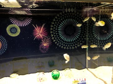 マクセル アクアパーク品川に投稿された画像（2021/8/10）