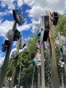 国営昭和記念公園 秋の夜散歩に投稿された画像（2021/8/11）