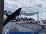 大分マリーンパレス水族館 「うみたまご」に投稿された画像（2021/8/11）