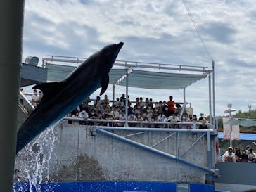大分マリーンパレス水族館 「うみたまご」に投稿された画像（2021/8/11）