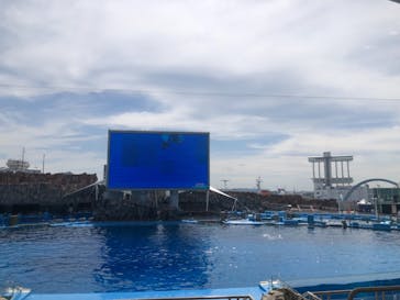 名古屋港水族館に投稿された画像（2021/8/11）
