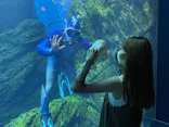 仙台うみの杜水族館に投稿された画像（2021/8/11）