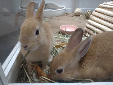 サンシャイン水族館に投稿された画像（2021/8/11）