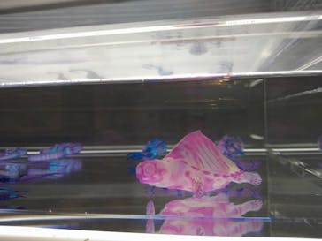 サンシャイン水族館に投稿された画像（2021/8/11）