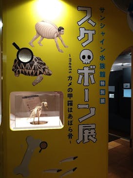 サンシャイン水族館に投稿された画像（2021/8/11）