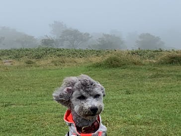 びわ湖バレイに投稿された画像（2021/8/11）