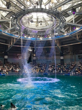 マクセル アクアパーク品川に投稿された画像（2021/8/11）