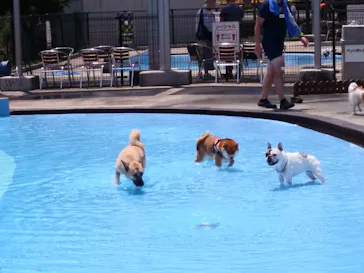 わんダフルネイチャーヴィレッジに投稿された画像（2021/8/11）