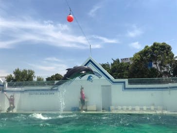 しながわ水族館に投稿された画像（2021/8/11）