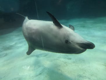 名古屋港水族館に投稿された画像（2021/8/10）