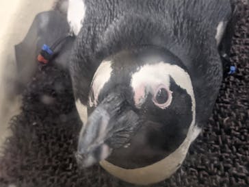 名古屋港水族館に投稿された画像（2021/8/10）