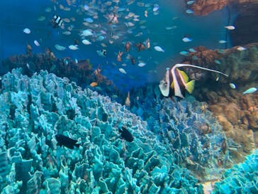 サンシャイン水族館に投稿された画像（2021/8/11）