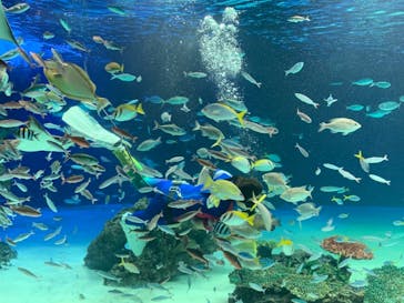 サンシャイン水族館に投稿された画像（2021/8/11）