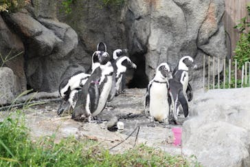サンシャイン水族館に投稿された画像（2021/8/11）