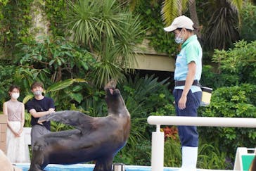 サンシャイン水族館に投稿された画像（2021/8/11）