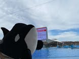 名古屋港水族館に投稿された画像（2021/8/11）